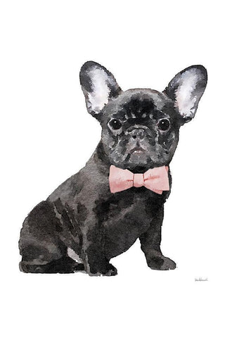 Frenchie I Black Ornate Wood Framed Art Print with Double Matting by Greenwood, Amanda