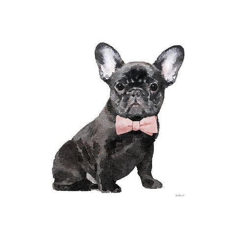 Frenchie I White Modern Wood Framed Art Print by Greenwood, Amanda