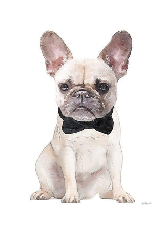 Frenchie II Black Ornate Wood Framed Art Print with Double Matting by Greenwood, Amanda