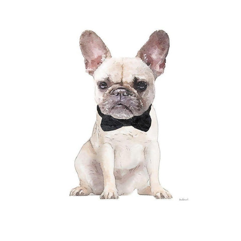 Frenchie II White Modern Wood Framed Art Print by Greenwood, Amanda