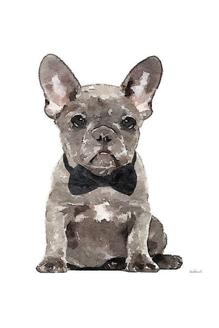 Frenchie IV Black Ornate Wood Framed Art Print with Double Matting by Greenwood, Amanda