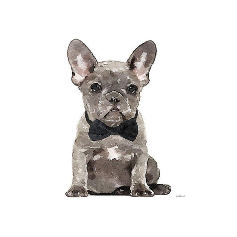 Frenchie IV Black Modern Wood Framed Art Print with Double Matting by Greenwood, Amanda