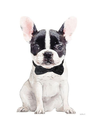 Frenchie V Black Ornate Wood Framed Art Print with Double Matting by Greenwood, Amanda