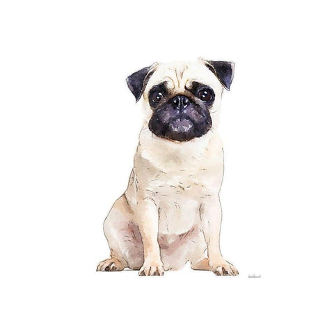 Pug Black Modern Wood Framed Art Print with Double Matting by Greenwood, Amanda