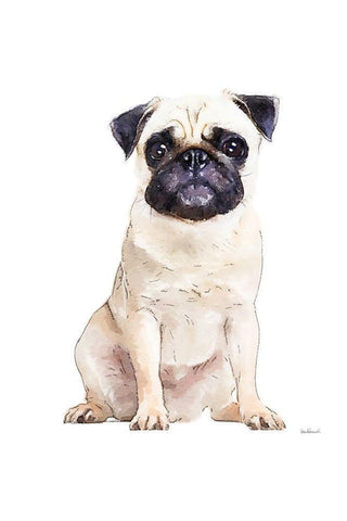 Pug White Modern Wood Framed Art Print with Double Matting by Greenwood, Amanda