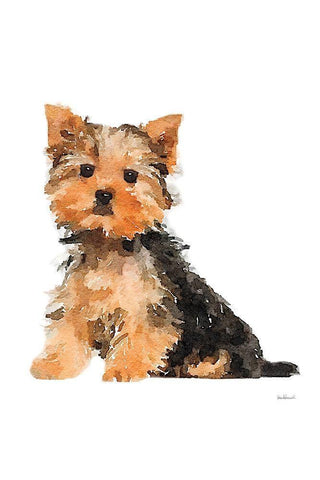 Yorkie Black Ornate Wood Framed Art Print with Double Matting by Greenwood, Amanda