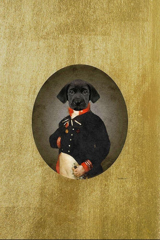 All Dressed up Labrador Black Ornate Wood Framed Art Print with Double Matting by Amanda Greenwood