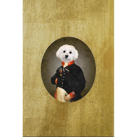 All Dressed up Bichon Frison  White Modern Wood Framed Art Print by Amanda Greenwood