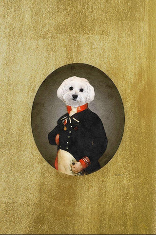 All Dressed up Bichon Frison  Black Ornate Wood Framed Art Print with Double Matting by Amanda Greenwood