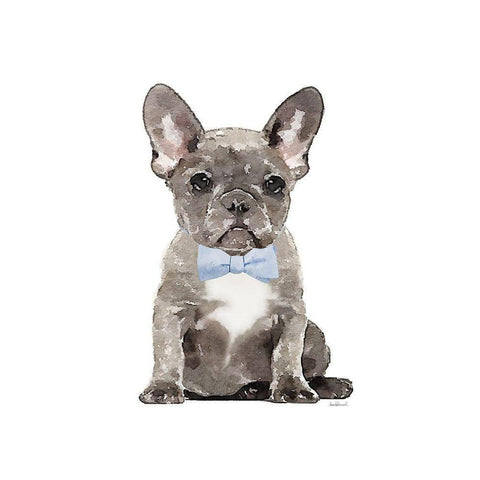 Frenchie VI White Modern Wood Framed Art Print by Amanda Greenwood