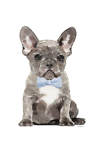 Frenchie VI White Modern Wood Framed Art Print with Double Matting by Amanda Greenwood