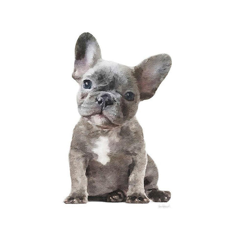 Frenchie IX Gold Ornate Wood Framed Art Print with Double Matting by Amanda Greenwood