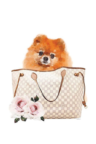 Fashion Bag with Pomeranion White Modern Wood Framed Art Print with Double Matting by Amanda Greenwood