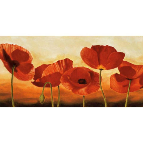 In the Sun Black Modern Wood Framed Art Print with Double Matting by Kahn, Andrea