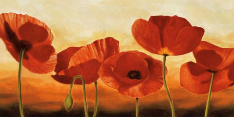 In the Sun White Modern Wood Framed Art Print with Double Matting by Kahn, Andrea