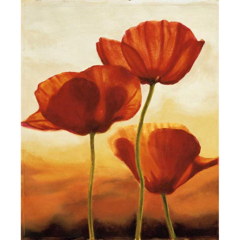 Poppies in Sunlight I Black Modern Wood Framed Art Print by Kahn, Andrea
