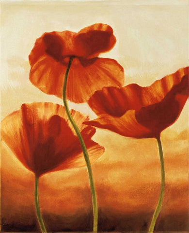 Poppies in Sunlight II White Modern Wood Framed Art Print with Double Matting by Kahn, Andrea