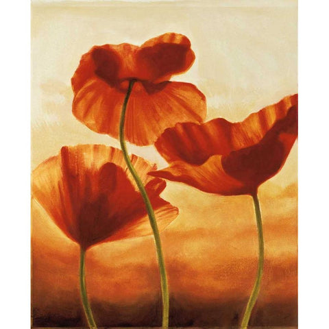 Poppies in Sunlight II Gold Ornate Wood Framed Art Print with Double Matting by Kahn, Andrea