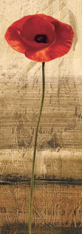 Poppy Panel II Black Ornate Wood Framed Art Print with Double Matting by Kahn, Andrea