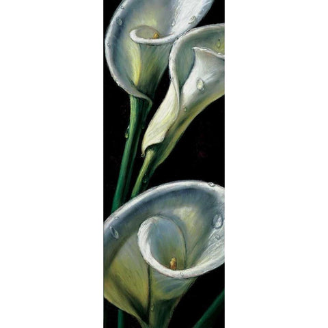 Dewdrop Callas Black Modern Wood Framed Art Print by AlmaCh