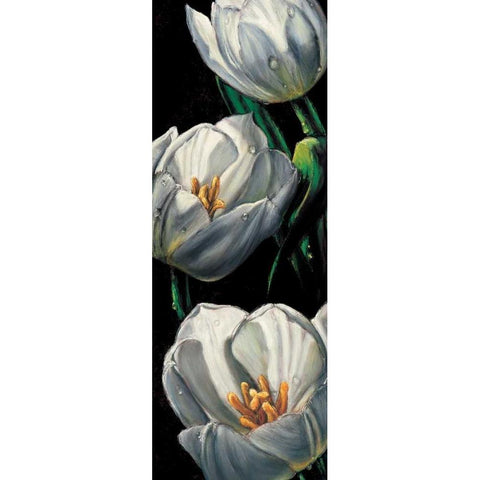 Dewdrop Tulips White Modern Wood Framed Art Print by AlmaCh