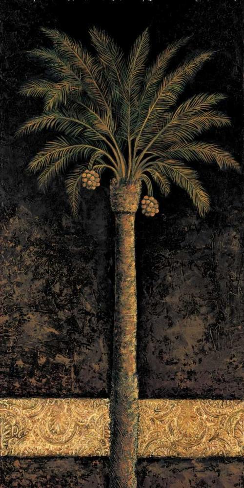Image Only