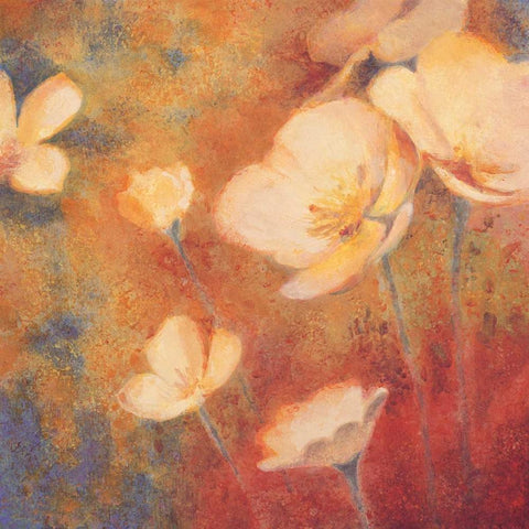 Field of Color I White Modern Wood Framed Art Print with Double Matting by Michaels, Anne