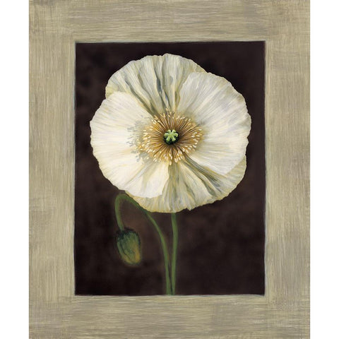 Flora I White Modern Wood Framed Art Print by Trivelli, Andrea