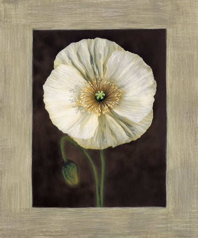 Flora I Black Ornate Wood Framed Art Print with Double Matting by Trivelli, Andrea