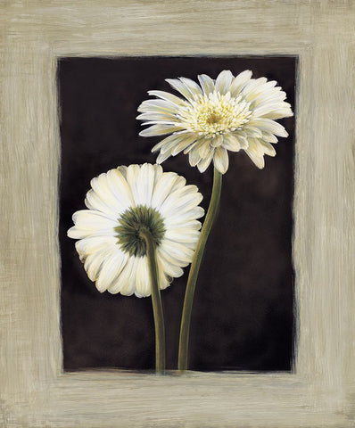 Flora II Black Ornate Wood Framed Art Print with Double Matting by Trivelli, Andrea