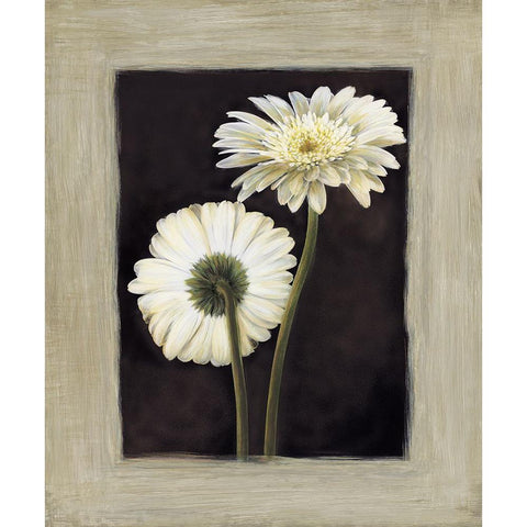 Flora II Black Modern Wood Framed Art Print by Trivelli, Andrea
