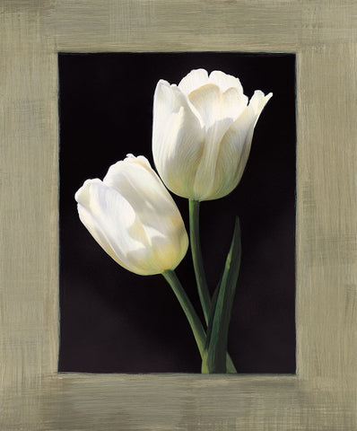 Tulipani bianchi Black Ornate Wood Framed Art Print with Double Matting by Trivelli, Andrea