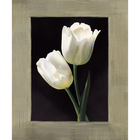 Tulipani bianchi White Modern Wood Framed Art Print by Trivelli, Andrea