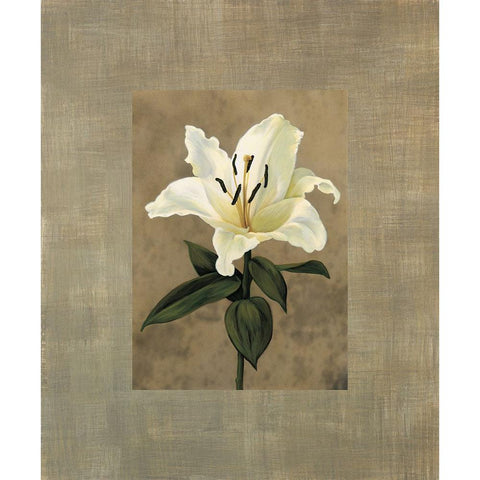 Lily White Modern Wood Framed Art Print by Trivelli, Andrea