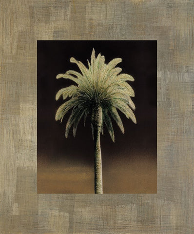 Palmas I White Modern Wood Framed Art Print with Double Matting by Trivelli, Andrea