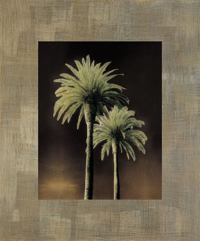 Palmas II Black Ornate Wood Framed Art Print with Double Matting by Trivelli, Andrea