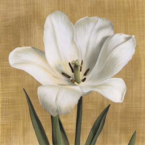 Tulipano White Modern Wood Framed Art Print with Double Matting by Trivelli, Andrea