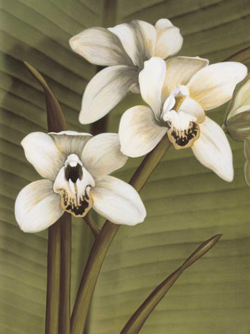 Orchid with Palm I White Modern Wood Framed Art Print with Double Matting by Trivelli, Andrea