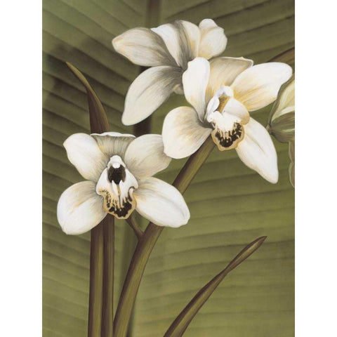 Orchid with Palm I Black Modern Wood Framed Art Print with Double Matting by Trivelli, Andrea
