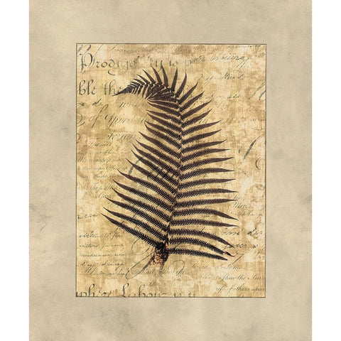 Fern I Black Modern Wood Framed Art Print with Double Matting by Weaver, Amy