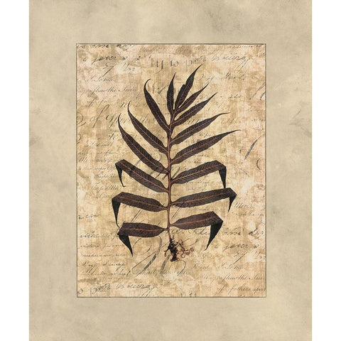 Fern II Gold Ornate Wood Framed Art Print with Double Matting by Weaver, Amy