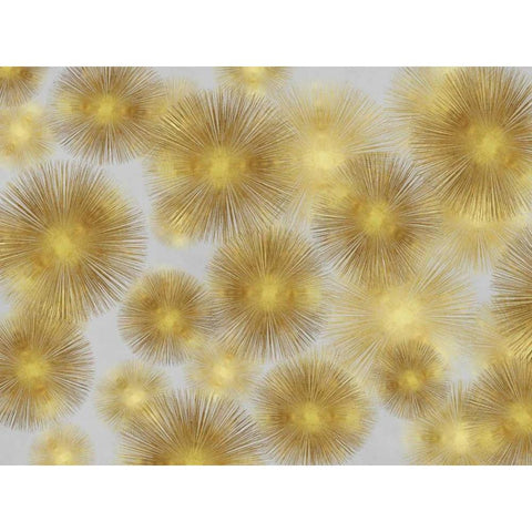 Sunburst Cluster Gold Ornate Wood Framed Art Print with Double Matting by Young, Abby