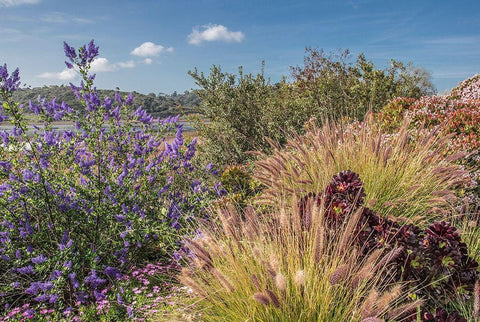 Spring Colors at Lagoon White Modern Wood Framed Art Print with Double Matting by Markoff, Barbara