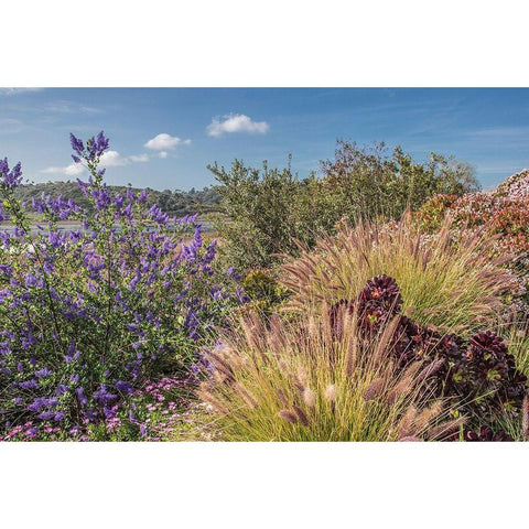 Spring Colors at Lagoon Black Modern Wood Framed Art Print with Double Matting by Markoff, Barbara