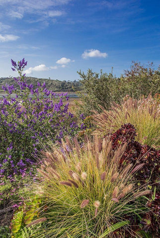 Spring at Lagoon White Modern Wood Framed Art Print with Double Matting by Markoff, Barbara
