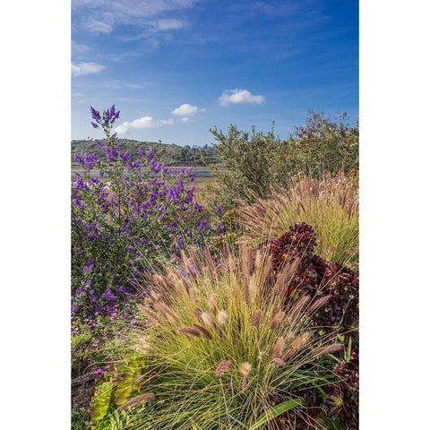 Spring at Lagoon White Modern Wood Framed Art Print by Markoff, Barbara