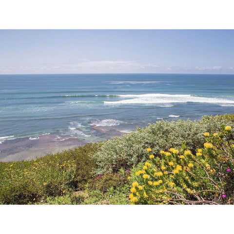 Surf and Protea, Encinitas Black Modern Wood Framed Art Print with Double Matting by Markoff, Barbara