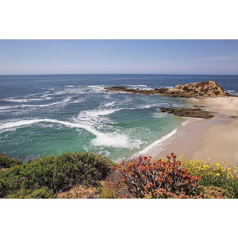 Playing at Laguna Beach Gold Ornate Wood Framed Art Print with Double Matting by Markoff, Barbara