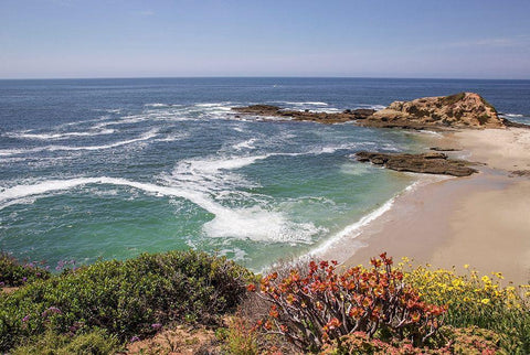 Playing at Laguna Beach White Modern Wood Framed Art Print with Double Matting by Markoff, Barbara