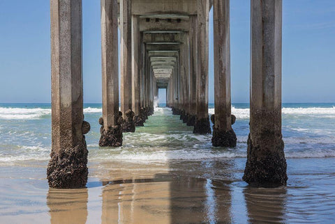 Under Scripps Pier, La Jolla White Modern Wood Framed Art Print with Double Matting by Markoff, Barbara
